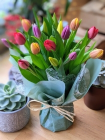 Simply Flowers Cheadle Local Spring Tulip Flower Delivery by Local Florist